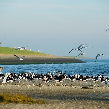 Breeze Ameland Hotell Hollum  Eksteriør bilde